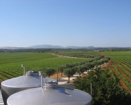 Quinta do Carneiro | Visita à Adega e Vinhas + Prova de Vinhos | 2 Pessoas Quinta do Carneiro | Visita à Adega e Vinhas + Prova de Vinhos | 2 Pessoas