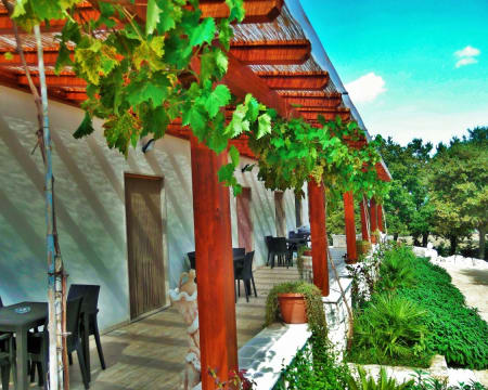 Red Rose B&B | Estadia de 1 Noite Red Rose B&B | Estadia de 1 Noite