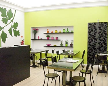 Buffet Exclusivamente Vegetariano para Dois | Salsa Verde - Évora