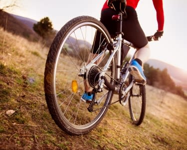 Passeio de BTT com Prova de Vinhos do Dão Passeio de BTT com Prova de Vinhos do Dão