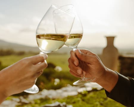 Flor do Paraíso | Degustação de Tapas & Vinho da Casa Flor do Paraíso | Degustação de Tapas & Vinho da Casa
