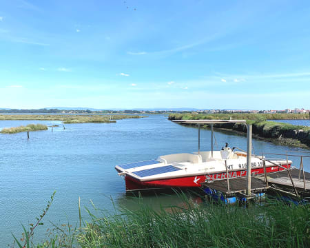 Sterna.pt | Passeio de Barco no Salgado da Ria de Aveiro | 2 Pessoas Sterna.pt | Passeio de Barco no Salgado da Ria de Aveiro | 2 Pessoas