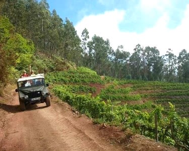 Tour 4x4 pelas Vinhas para 4 Amigos Tour 4x4 pelas Vinhas para 4 Amigos