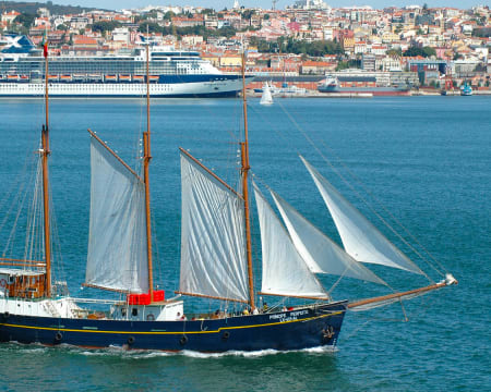 Cruzeiro Sightseeing no Tejo em- Hop-on Hop-off para Adulto e Criança Cruzeiro Sightseeing no Tejo em- Hop-on Hop-off para Adulto e Criança