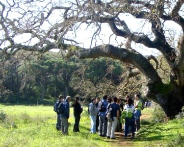 Passeio Pedestre em Fojo e a história do Risco para 2 Passeio Pedestre em Fojo e a história do Risco para 2