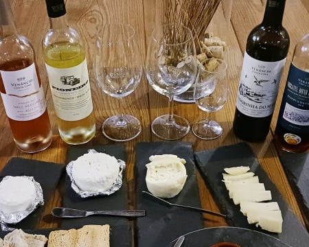 Adega Venâncio da Costa Lima | Prova de Vinhos e Degustação de Queijo Regional | 2 Pessoas