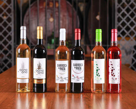 Visita à Adega + Prova de 2 Vinhos + Degustação de Tapas | Vinhos Franco Visita à Adega + Prova de 2 Vinhos + Degustação de Tapas | Vinhos Franco
