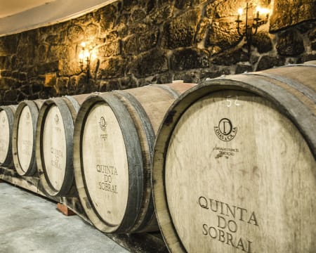 Quinta do Sobral | Visita à Adega + Prova de 3 Vinhos | 1 Pessoa Quinta do Sobral | Visita à Adega + Prova de 3 Vinhos | 1 Pessoa
