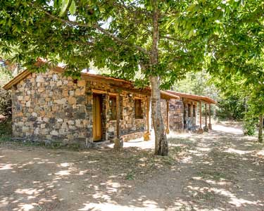 Cepo Verde - Restaurante | Tascas e Petiscos Cepo Verde - Restaurante | Tascas e Petiscos