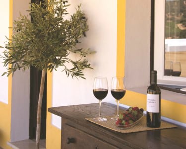 Wine Tour com Prova de Vinhos e Degustação a 2 Wine Tour com Prova de Vinhos e Degustação a 2