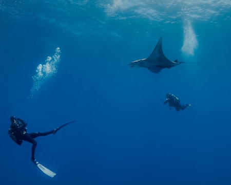 Baptismo de Mergulho nas Águas da Madeira - 1 ou 2 Pessoas | Azul Diving - Funchal