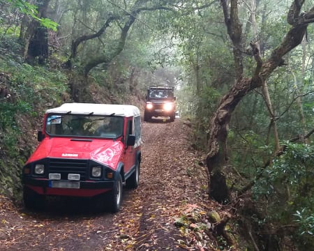 Jeep Tour na Serra da Arrábida! 1, 2 ou 4 Pessoas | Discover The Nature