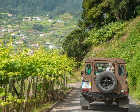 Visita de Jipe ao Cabo Girão e Serra d'Água com Prova de Vinhos da Madeira | 4 Horas | Funchal