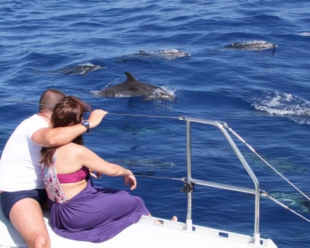 Passeio de Jipe ao Cabo Girão + Prova de Vinhos + Observação de Golfinhos | Funchal