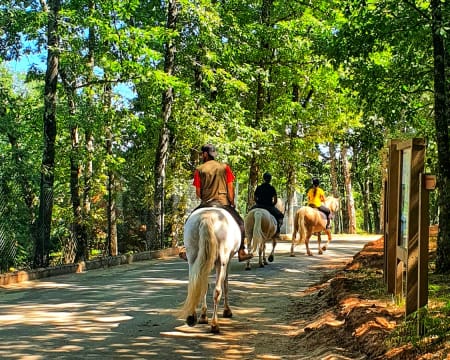 Dia de Diversão no Parque Biológico de Vinhais c/ Arborismo + Slide + Passeio a Cavalo para Dois | Bragança