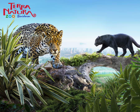 Terra Natura Benidorm | Zoo e Parque Aquático com Atracções para Famílias!