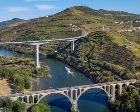 Cruzeiros 6 Pontes ou Porto e Régua - Descubra o Douro Vinhateiro | 50 Min a Dia Inteiro | Tomaz do Douro