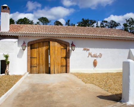 Enoturismo e Sabores da Bairrada à Escolha | 1 ou 2 Pessoas | Adega Malápio - Águeda