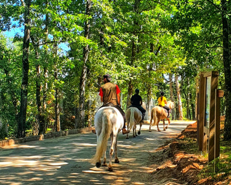 Dia de Diversão no Parque Biológico de Vinhais c/ Arborismo, Slide ou Passeio a Cavalo para Dois em Bragança