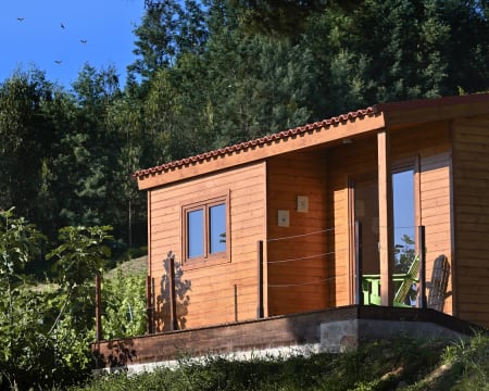 Quinta da Aldeia Nova - Arganil | Turismo Rural em Bungalow entre Vinhas com Opção Passeio de Jipe e Prova de Vinhos