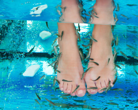 Cuide dos seus Pés! Fish Spa com Opção de Massagem ou Pedicure Medical | Spaccio Essência - Vilela