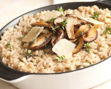 Risotto de Cogumelos + Bebida | 2 Pessoas | Tattva Restaurant & Bar Risotto de Cogumelos + Bebida | 2 Pessoas | Tattva Restaurant & Bar