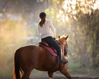 Baptismo Equestre | 1 Pessoa - 30min | The Camp® Baptismo Equestre | 1 Pessoa - 30min | The Camp®