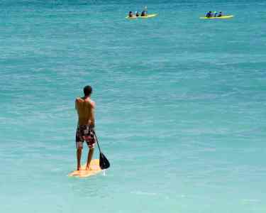 SUP Experience | 1 Pessoa - 1h30 | Bork You SUP Experience | 1 Pessoa - 1h30 | Bork You