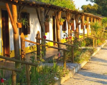 Quinta da Coutada | Estadia de 1 Noite Quinta da Coutada | Estadia de 1 Noite