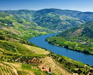 Passeio Porto-Régua para Dois + Almoço + Vinho do Porto + Lanche | Douro Encantado!