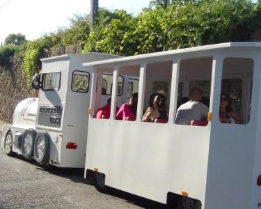 Magic Train | Passeio Família no Porto + Visita às Caves de Gaia + Prova Vinhos | 2 Horas