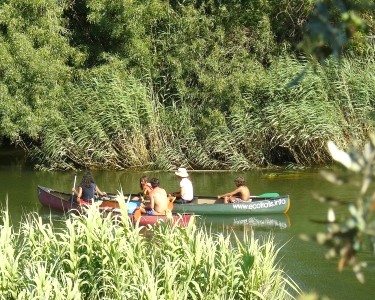 Passeio de Canoa no Rio Mira Passeio de Canoa no Rio Mira