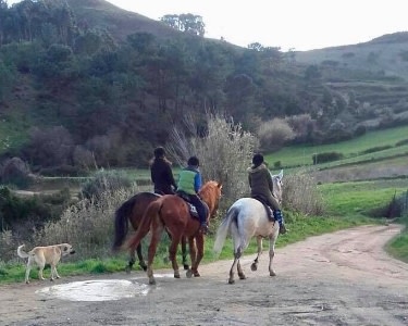 Passeio a Cavalo pelo Campo | 2 Horas | Herdade da Estrela - Torres Vedras