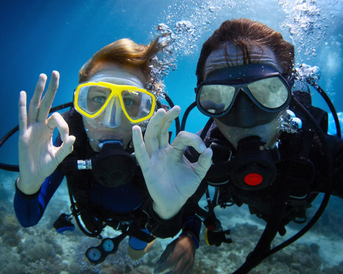 Workshop + Baptismo de Mergulho na Arrábida | 1 ou 2 Pessoas | Fascinante Mundo Subaquático - Wind