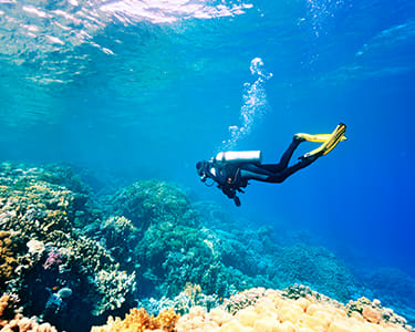 Baptismo de Mergulho com Passeio de Barco | 1 ou 2 Pessoas | Sesimbra