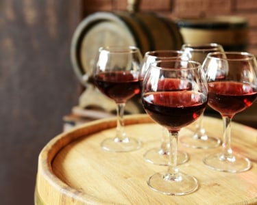 Adega da Ervideira | Visita, Vinhos e Degustação Adega da Ervideira | Visita, Vinhos e Degustação
