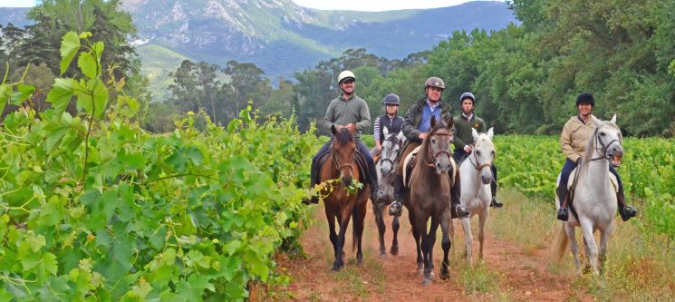 Passeio a Cavalo com Almoço | 5 Horas | Serra do Louro - Palmela
