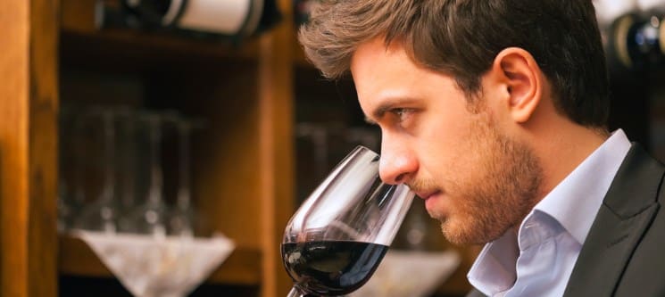 Para os Apreciadores de Vinho: Curso Online Enologia | Sociedade Digital