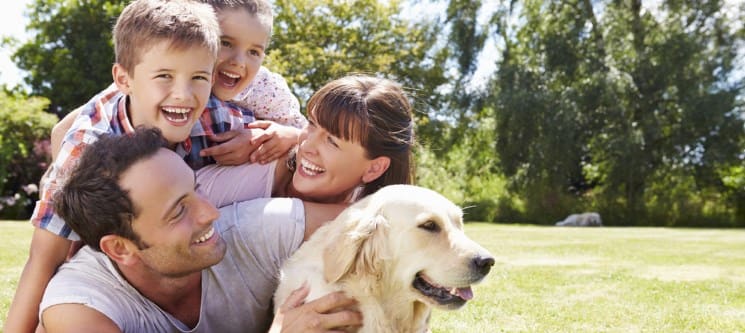 Sessão Fotográfica Pets & Family | 1 Hora | Porto