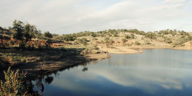 Safari pelo Alentejo! Passeio de Jipe c/ Opção Museu do Medronho + Prova de Aguardente | Até 6 Pessoas