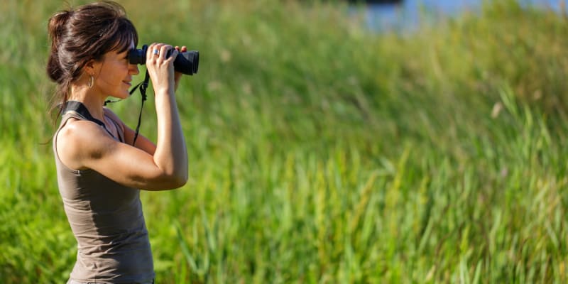 Observação de Aves no EVOA | Santarém