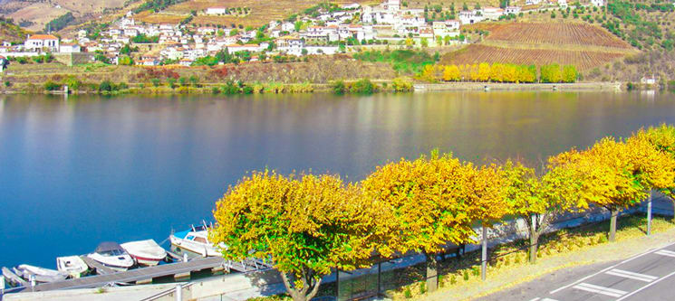 Hotel Folgosa Douro - Viseu | Estadia de 1 ou 2 Noites com Vista Rio Douro Hotel Folgosa Douro - Viseu | Estadia de 1 ou 2 Noites com Vista Rio Douro