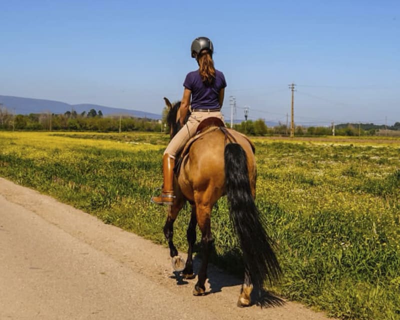 Passeio do cavalo. Um dos desafios mais interessantes que os