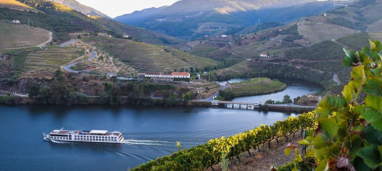 Tour no Douro para Dois com Prova de Vinho e Visita ao Pinhão | 2 Horas