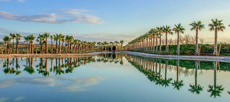 Hotel Comendador - Bombarral | Noite c/ Entradas no Buddha Eden