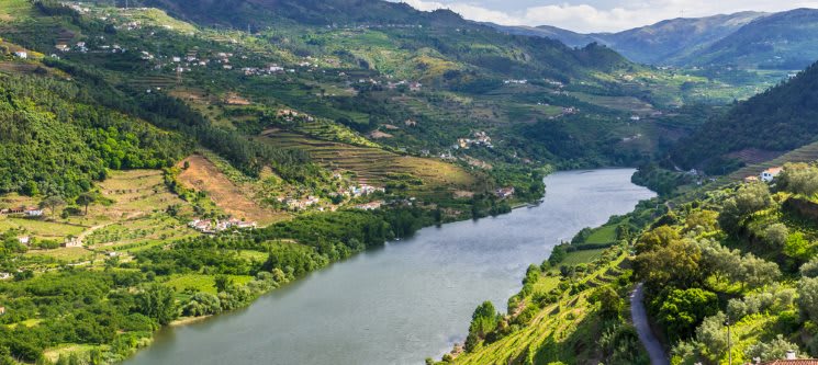 Régua-Pinhão-Régua para 2 Pessoas | Cruzeiro no Douro