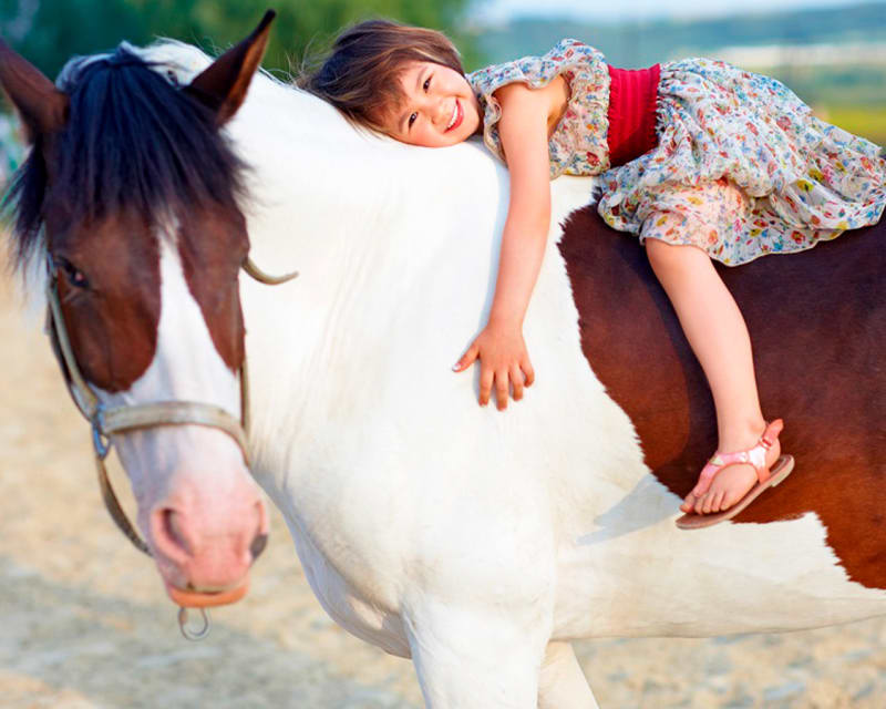 Por que os cavalos são bons para as crianças