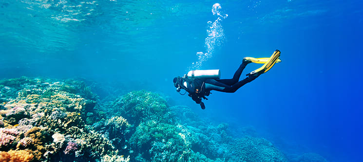 Baptismo de Mergulho com Passeio de Barco | 1 ou 2 Pessoas | Sesimbra