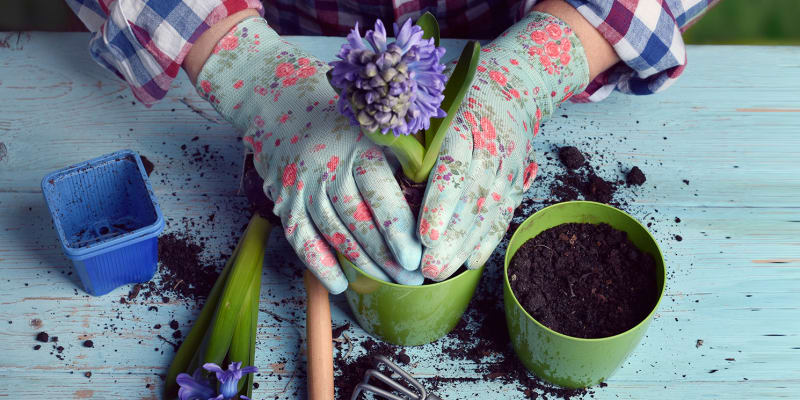 Jardinagem... Cuidar, Proteger e Revitalizar o Espaço! Jardinagem... Cuidar, Proteger e Revitalizar o Espaço!
