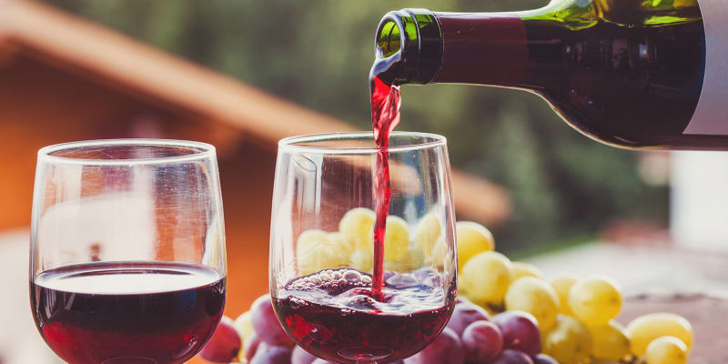 Prova de Vinhos e Produtos Regionais + Experiência de Cavalo a Dois! Alenquer